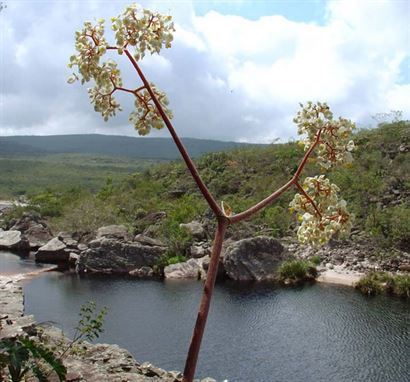 Turismo en America Latina - Chapada Diamantina